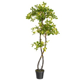 Artificial Black Olive Tree,5Ft Tall Faux Olive Tree in Pot with 2 Tier,Fake Plants with 50 Lights and Dimmer for Indoor Living Room Office Decor&Housewarming Gift