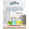 Wellnax Dishwasher Cleaner and Deodorizer - Rinse aid, Dishwashing Machine
