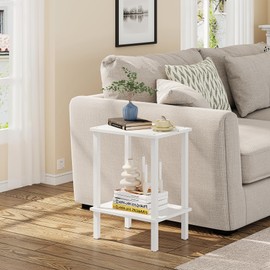 TUTOTAK End Table, Set of 2, Side Table, Nightstand, 2-Tier Storage Shelf, Sofa Table for Small Space, Living Room, Bed Room TB01BW035