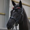 Equetech Red Horse Bridle Warning Ribbons, Set of 4, Competition