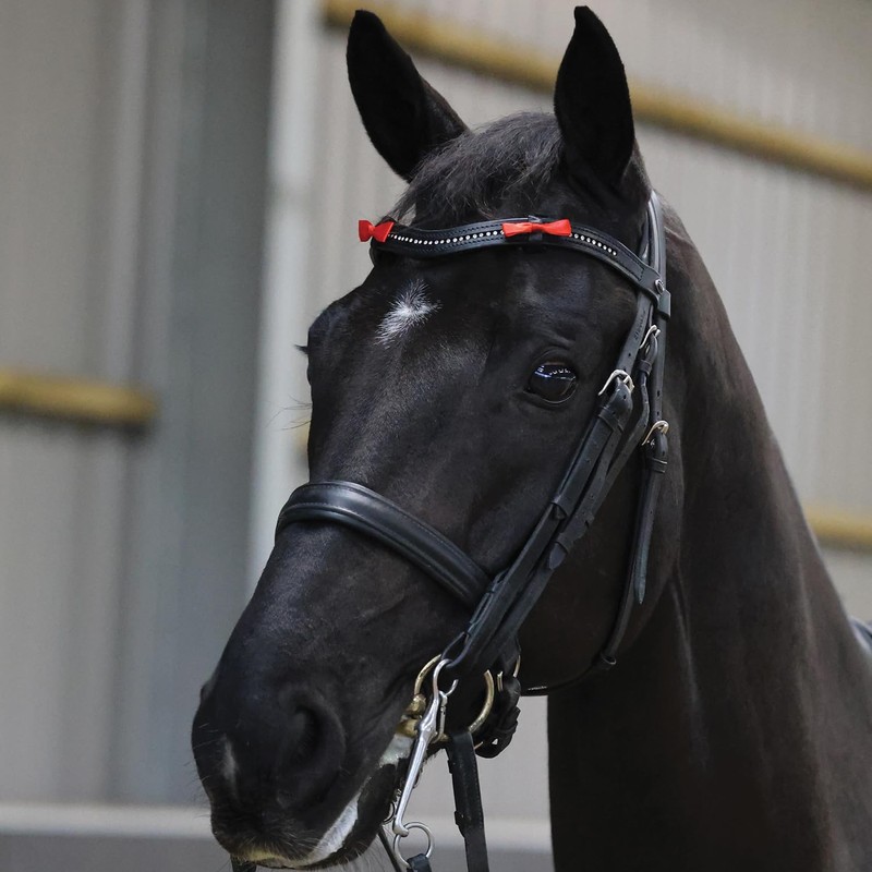 Equetech Red Horse Bridle Warning Ribbons, Set of 4, Competition