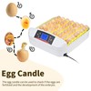 Egg Incubator ，56 Eggs Fully Automatic Egg Incubator with LED