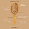 Regrowz Bamboo Paddle Hairbrush with Round Bristles - Detangle Hair