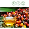 Aceite De Batana For El Crecimiento Del Cabello Con 2pcs