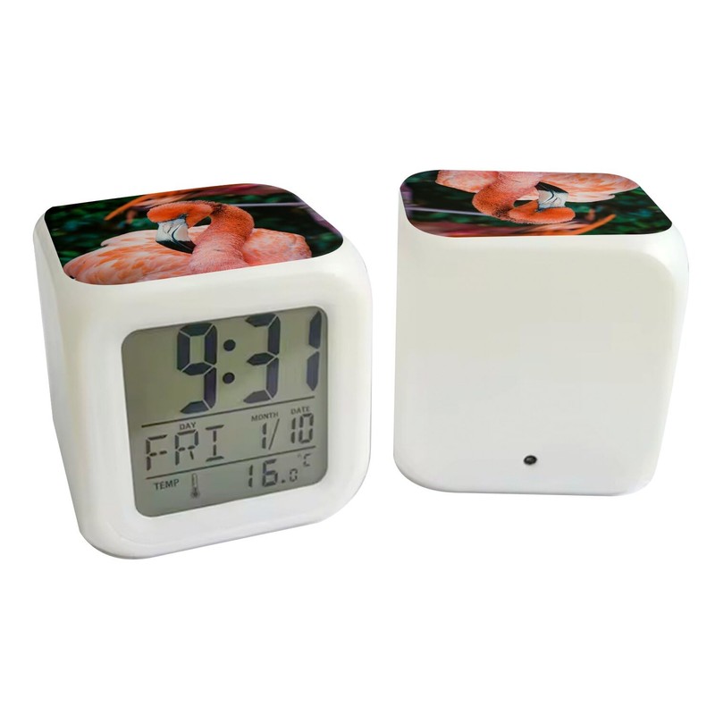 Fabulous White Illuminated Cube Alarm Clock - Close-up Flamingo Pink