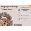 Hongos Adaptógenos - Hongo Cola de Pavo - Extracto Puro