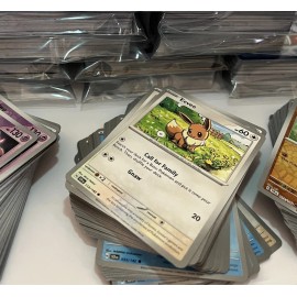100 Pokémon Cards Lot – Common/Uncommo