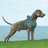DOCO Solar Air Step-in Reflective Dog Mesh Harness for Walking