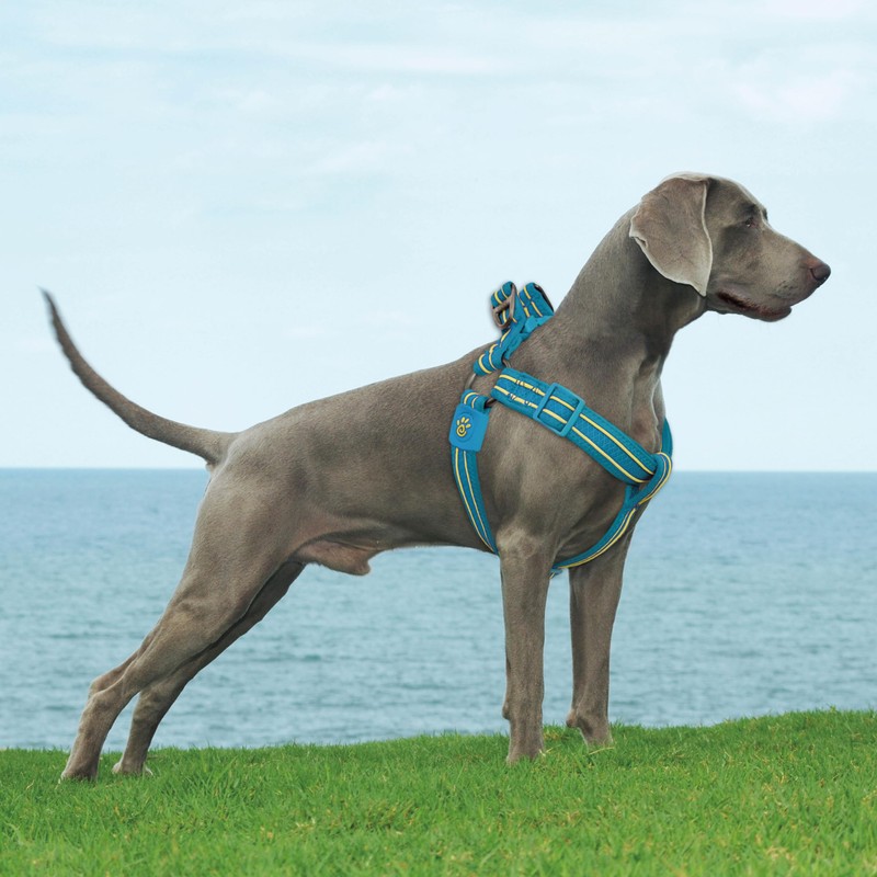 DOCO Solar Air Step-in Reflective Dog Mesh Harness for Walking
