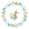 Anniversary House Beatrix Potter™ Peter Rabbit™ Spring Meadow Paper Cupcake