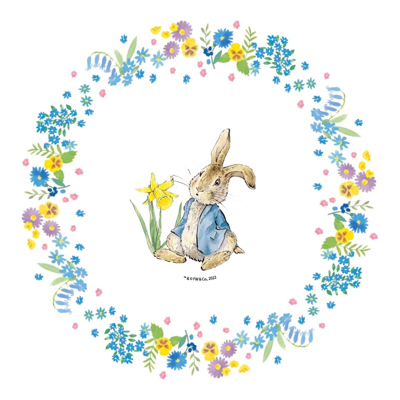 Anniversary House Beatrix Potter™ Peter Rabbit™ Spring Meadow Paper Cupcake