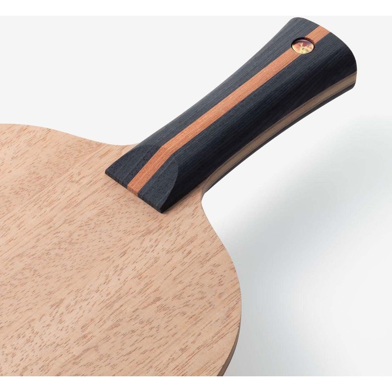 Butterfly FL 37101 Table Tennis Shake Cracket, Diode Pro