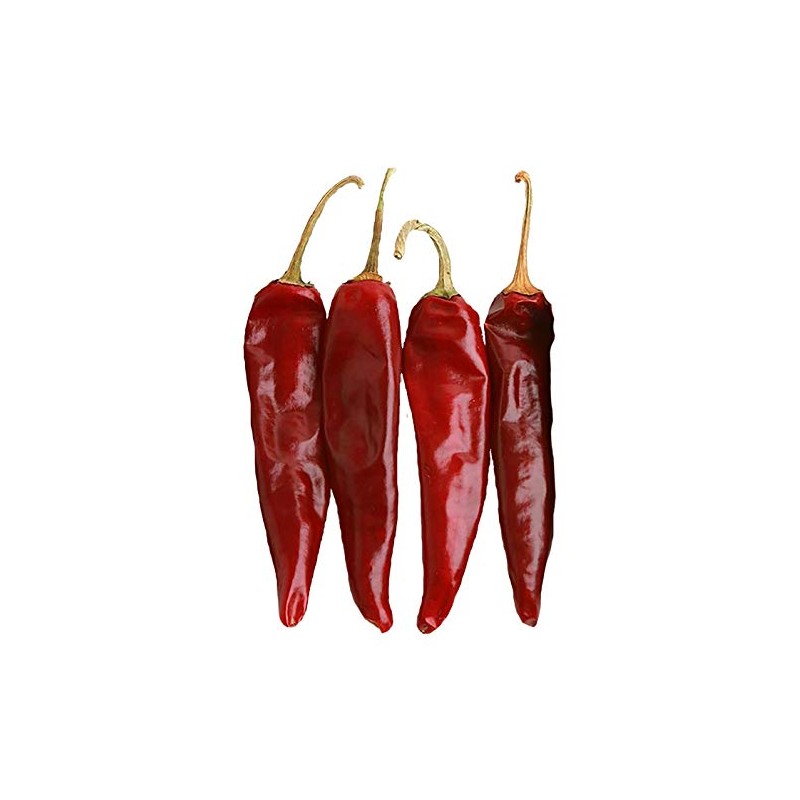 Guajillo Pepper Medium Hot 10 Seeds - Rare and Non-GMO