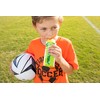 PKLfreeze Dill Pickle Flavored Freeze Pop, 1.5 Oz Packet, (32