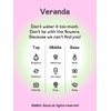 Veranda Eau de Parfum 30ml / 베란다 오 드 퍼퓸