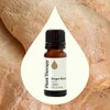 Plant Therapy Ginger Root CO2 Essential Oil 100% Pure, Undiluted,