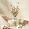 Airkeep Reed Diffuser Set,3.38 fl oz (100 ml) - Clean