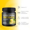 EVOLUTION, Aminoácidos BCAA, Suplemento Alimenticio, Leucina, Sin Gluten, Pre Workout,