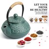 Sotya Cast Iron Teapot, 30oz/900ml Japanese Tetsubin Tea Pot with