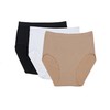 Rufina #214-3 Pack - Women's Seamless Full Brief Panties, Soft