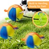 18 Inch Herding Ball for Dogs, Herding Dog Toys for