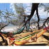 ANYOO Cotton Hammock Portable Camping Hammocks for Hanging Sturdy Garden