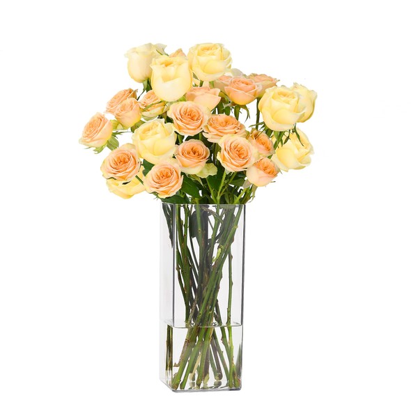 Guluto Acrylic Square Flower Vase, Non-breakable Vase, 4" x 4"