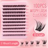 GEMERRY Cluster lashes, DIY Eyelash Extenisons 8-16mm D Curl Fluffy
