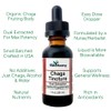 Northern Elderberry Chaga Mushroom Tincture, 1 oz Dual Extraction |