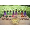Fatima's Garden Argan Oil for Face, Hair, Skin and Nails