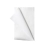 Aaxis Absorbent Medical Towel 100 Pack, 35 cm Width