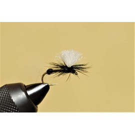 Fly Shop Complete Fly Set SD Selection Ant SP #12