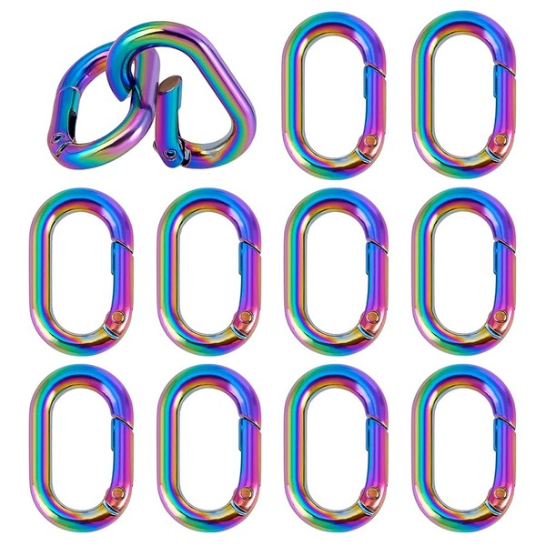 PH PandaHall 12pcs Rainbow Spring Key Rings, 35x21mm Keyring Buckles