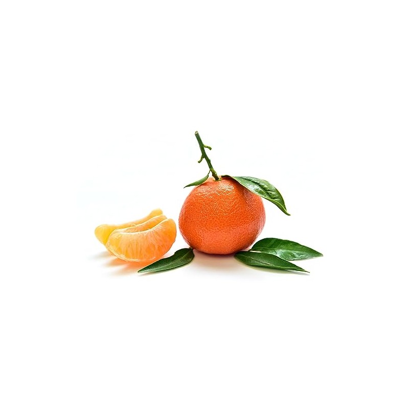 OliveNation Tangerine Extract, TTB-Approved for Brewing, Baking, Beverages, Frosting, Fillings,