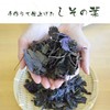 Gabai Farm, Made in Japan, Handmade, Shiso Leaf Tea, 0.07