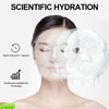 USB Charging Portable Face Moisturizing Spray Handheld Nano Mist Sprayer