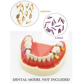 Dental Wedge Guard with Metal Plastic Knife and Protection Matrix for Teeth Interproximal Area 50pcs/box (SMALL)