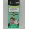 Stash Peppermint Herbal Tea (Box of 30)
