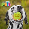 Fancy Pets Juguete Pelota Grande de Tenis Bicolor para Perro