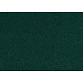 Creativ Company 10-Piece Craft Felt, Dark Green