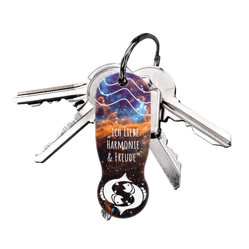 TRIGGI® The Shopping Trolley Token Removable Zodiac Sign Pisces Keyring