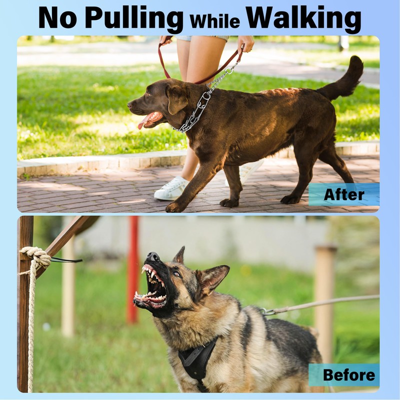 JIPIMON Dog Training Collar, Adjustable Stainless Steel Collar with Quick