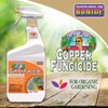 Bonide Captain Jack's Copper Fungicide, 32 oz Ready-to-Use Spray for