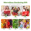 Ahopegarden Indoor Garden Hydroponics Growing System: 12 Pods Plant Germination