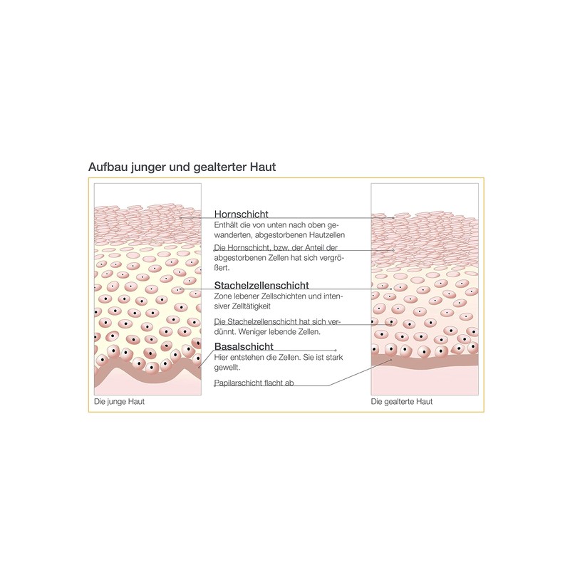 AESTHETICO Fruit Complex - Fruit Acid Cream Now Also For