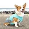 Dog Cooling Vest, Dogs Cooling Coat with Adjustable Buckle Summer