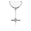 RONA Champagne Saucer Glass | Set of 6 | 12
