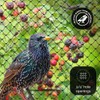 Bird-X PE-Plus Premium Bird Net, Ideal for Gardens and Commercial