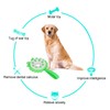 Dog Chewing Toy Bite Resistant Interactive Teeth Cleaning Round Puppy