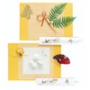 nervousrhinos Beginning Eating Sea Bream, Decoration, Teething Stone, 100th Day